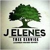 J Elenes Tree Service